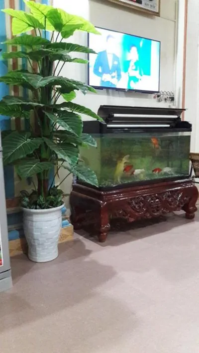 Thien Phuong Guesthouse – Photos 16